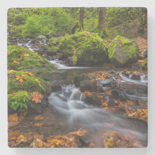 Herfstkleuren langs Starvation Creek Falls Stenen Onderzetter