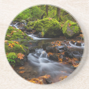 Herfstkleuren langs Starvation Creek Falls Zandsteen Onderzetter