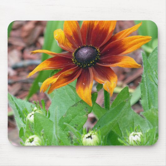 Herfstkleuren Muismat (Voorkant)