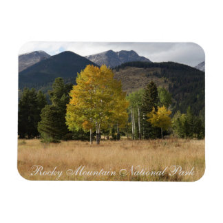 Herfstkleuren Mummy Range Rocky Mtn National Park Magneet