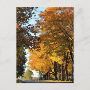 Herfstkleuren op Landweg Briefkaart