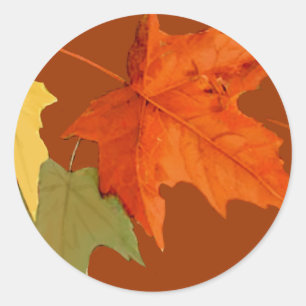Herfstkleuren Sticker