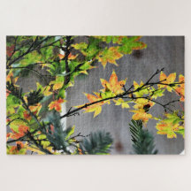 Herfstkleuren van de esdoorn
