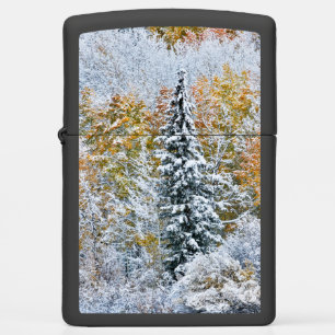 Herfstkleuren van Espen & Sneeuw Keebler Pass