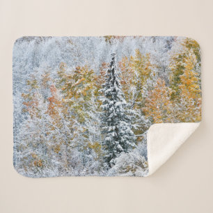 Herfstkleuren van Espen & Sneeuw Keebler Pass Sherpa Deken