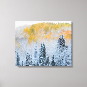 Herfstkleuren van Espen & Verse Sneeuw Keebler Pas Canvas Afdruk