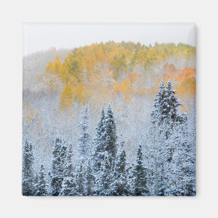 Herfstkleuren van Espen & Verse Sneeuw Keebler Pas Magneet