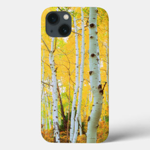 Herfstkleuren van Espenbomen 1 iPhone 13 Hoesje