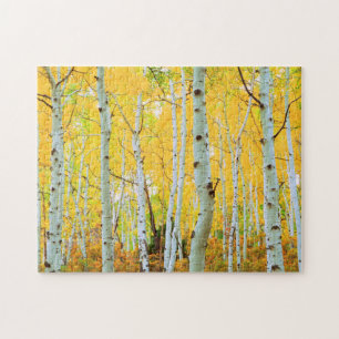 Herfstkleuren van Espenbomen 1 Legpuzzel