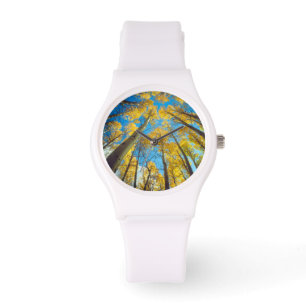 Herfstkleuren van Espenbomen 2 Horloge