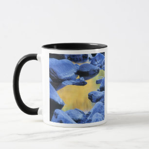 Herfstkleuren weerspiegeld in een wadend bad, mok