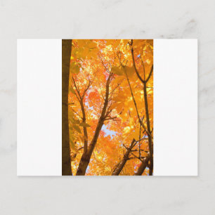 Herfstkleurstemming Briefkaart