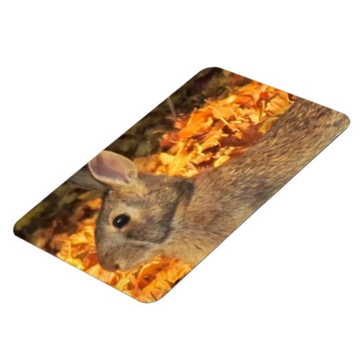 herfstkonijn magneet (Linkerzijde)