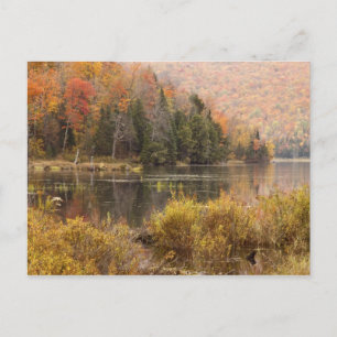 Herfstlandschap met meer, Vermont, VS 3 Briefkaart