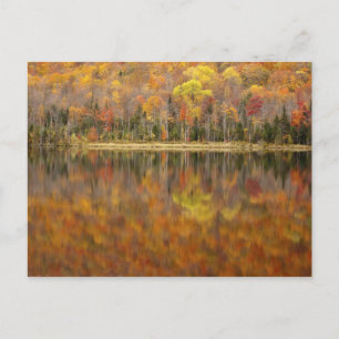 Herfstlandschap met meer, Vermont, VS Briefkaart