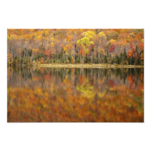 Herfstlandschap met meer, Vermont, VS Foto Afdruk