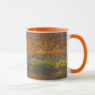 "HERFSTLANDSCHAP" VALLEI VAN BOMEN VERANDERD IN GO MOK