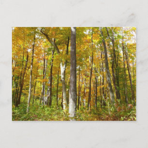 Herfstlandschap van Gele Bladeren Briefkaart