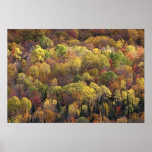 Herfstlandschap, Vermont, Verenigde Staten Poster