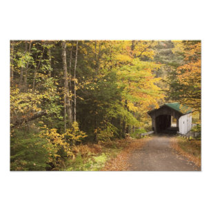 Herfstlandschap, Vermont, VS 2 Foto Afdruk