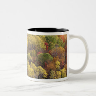 Herfstlandschap, Vermont, VS 2 Tweekleurige Koffiemok