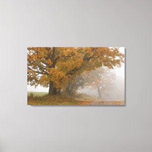 Herfstlandschap, Vermont, VS 4 Canvas Afdruk