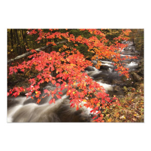 Herfstlandschap, Vermont, VS 4 Foto Afdruk