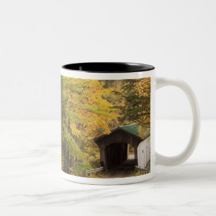 Herfstlandschap, Vermont, VS 4 Tweekleurige Koffiemok