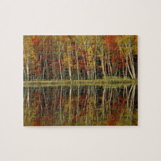 Herfstloof en berkenreflecties; Hiawatha Legpuzzel (Horizontaal)