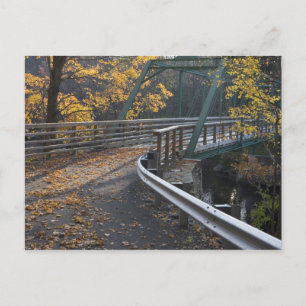 Herfstloof en een brug over de Millers Briefkaart