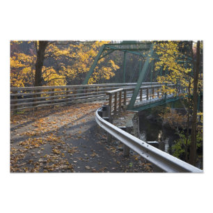 Herfstloof en een brug over de Millers Foto Afdruk