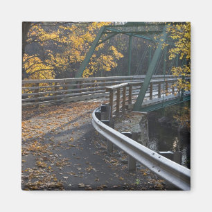 Herfstloof en een brug over de Millers Magneet