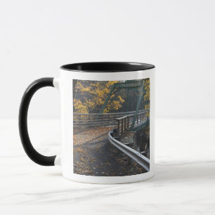 Herfstloof en een brug over de Millers Mok