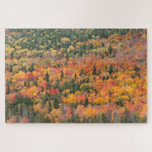 Herfstloof Keweenaw schiereiland, Michigan Legpuzzel