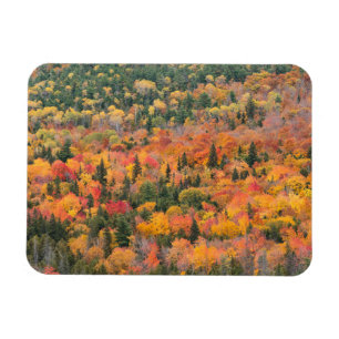 Herfstloof Keweenaw-schiereiland, Michigan Magneet
