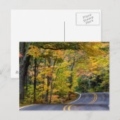 Herfstloof langs Highway 41 Briefkaart (Voorkant / Achterkant)