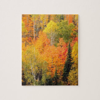 Herfstloof Vallei Herfstseizoen Foto Legpuzzel