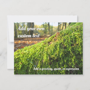 Herfstmos in gouden zonneschijn - gepersonaliseerd briefkaart