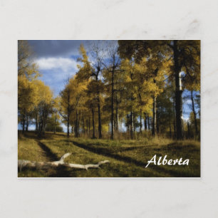 herfstnamiddag, Alberta Briefkaart