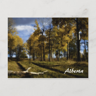 herfstnamiddag, Alberta Briefkaart