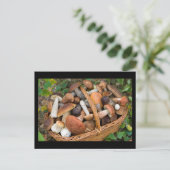 herfstpaddenstoelen briefkaart (Staand voorkant)