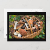 herfstpaddenstoelen briefkaart (Voorkant / Achterkant)