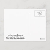 herfstpaddenstoelen briefkaart (Achterkant)