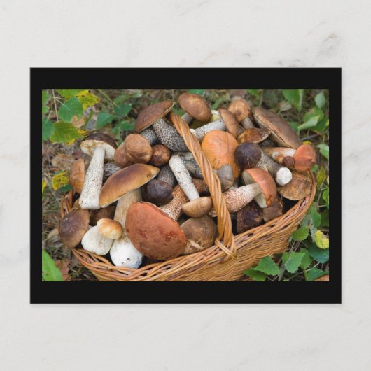 herfstpaddenstoelen briefkaart (Voorkant)