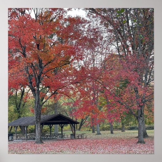 Herfstparkdag Poster (Voorkant)