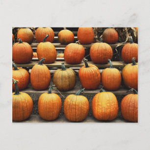 Herfstpompoenen Briefkaart