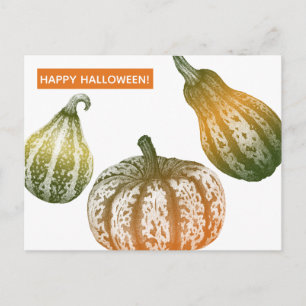 Herfstpompoenen Stiptekening Ansichtkaart Briefkaart