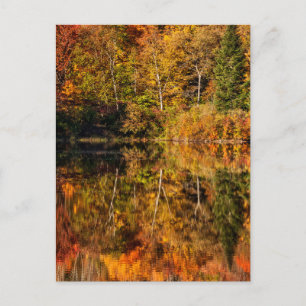 Herfstreflectie op Coffin Pond Briefkaart