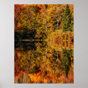 Herfstreflectie op Coffin Pond Poster