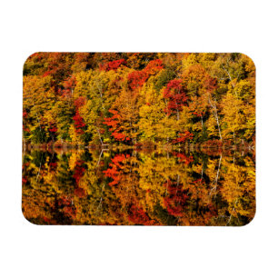 Herfstreflectie op Russell Pond New Hampshire Magneet